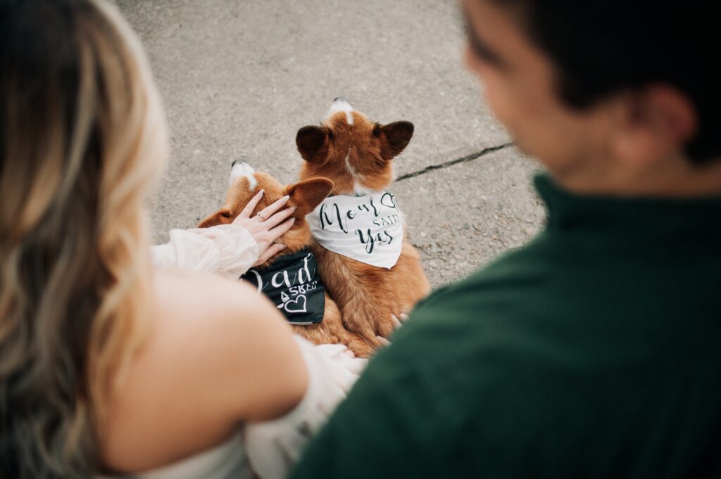 Winter Engagement Photography at Arsenal Park in Baton Rouge, Louisiana