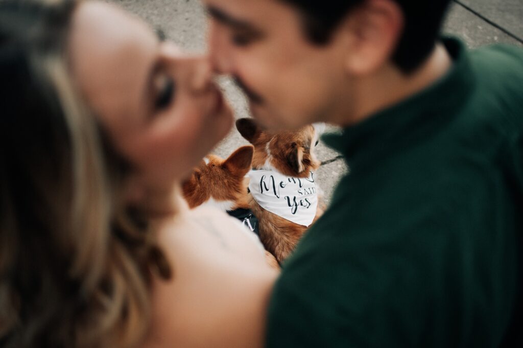 Winter Engagement Photography at Arsenal Park in Baton Rouge, Louisiana