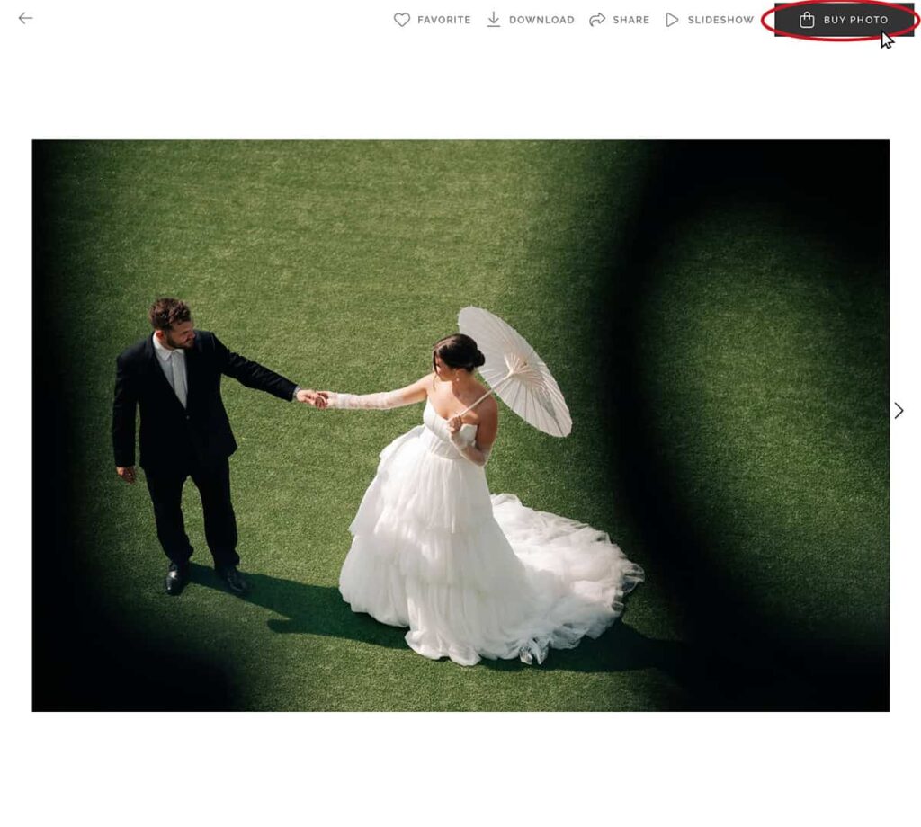 Mouse clicking "BUY IMAGE" on an image in a gallery from Rebecca Warren Photography