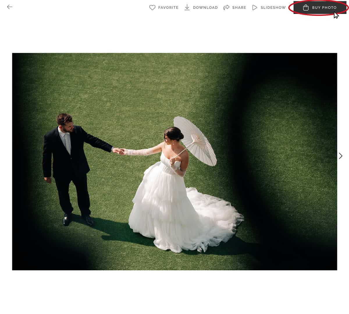 Mouse clicking "BUY IMAGE" on an image in a gallery from Rebecca Warren Photography